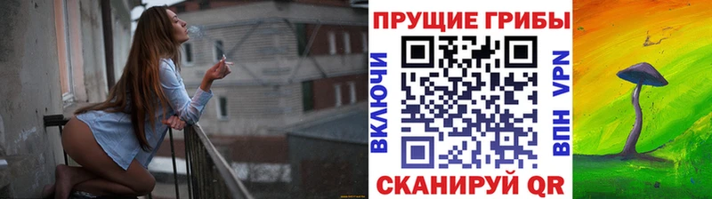 Галлюциногенные грибы MAGIC MUSHROOMS  darknet официальный сайт  Стрежевой  хочу наркоту 